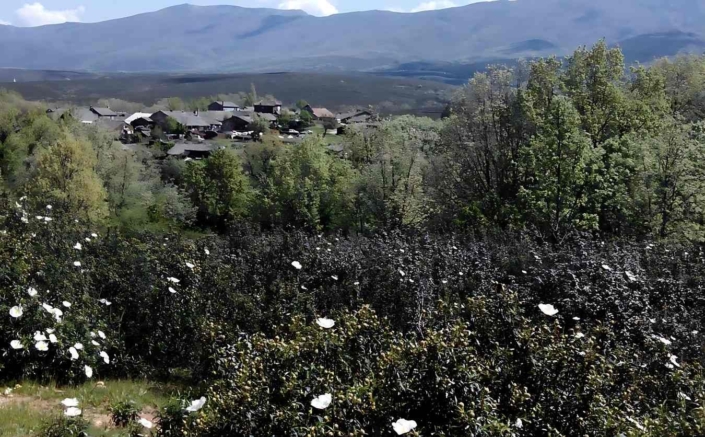CASCADAS DEL ALJIBE-EL ESPINAR-MATALLANA-ROBLELACASA