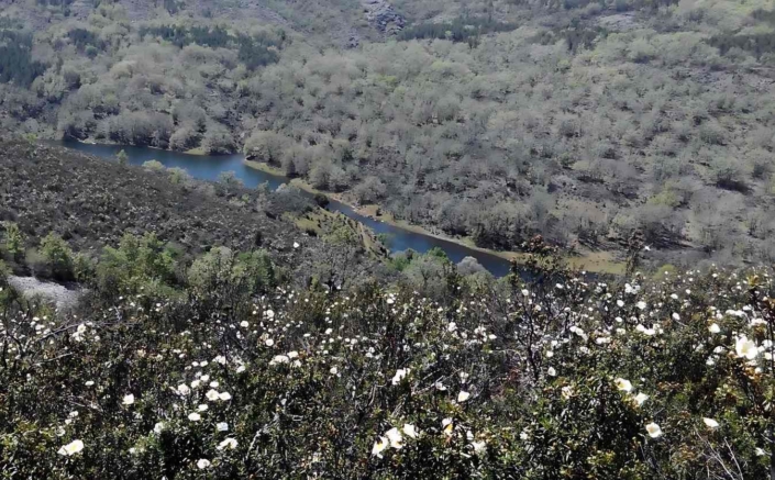 CASCADAS DEL ALJIBE-EL ESPINAR-MATALLANA-ROBLELACASA_2