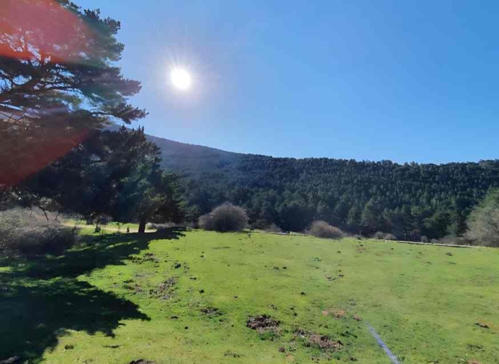 Ruta por el Valle de Navalmedio ( Cercedilla) pasando por la Mina de las Cortes y el Pino de la cadena_3